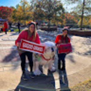 Meet your Posher, Kait